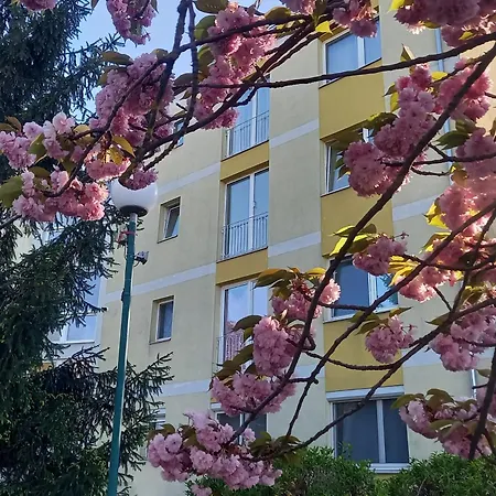 Apartment - Seerose 50 M2 Neufeldersee