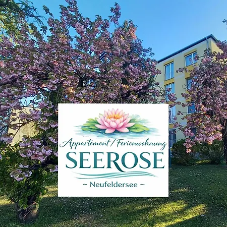 - Seerose 50 M2 Neufeldersee