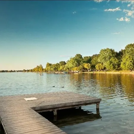 - Seerose 50 M2 Neufeldersee *